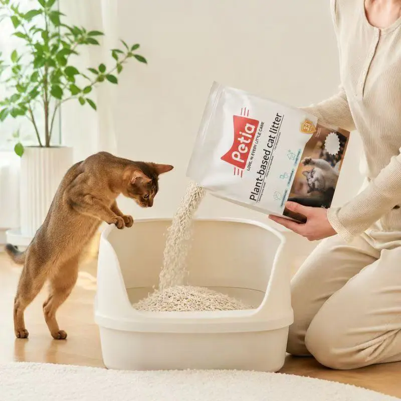 The Three Biggest Challenges of Cat Litter for Multi-Cat Households (Odor, Consumption, and Cleaning Frequency)